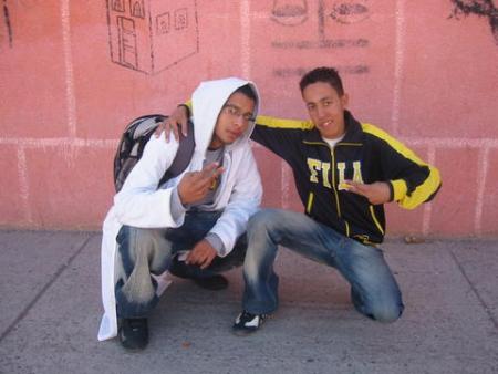 les amis